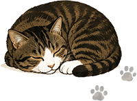猫イラスト